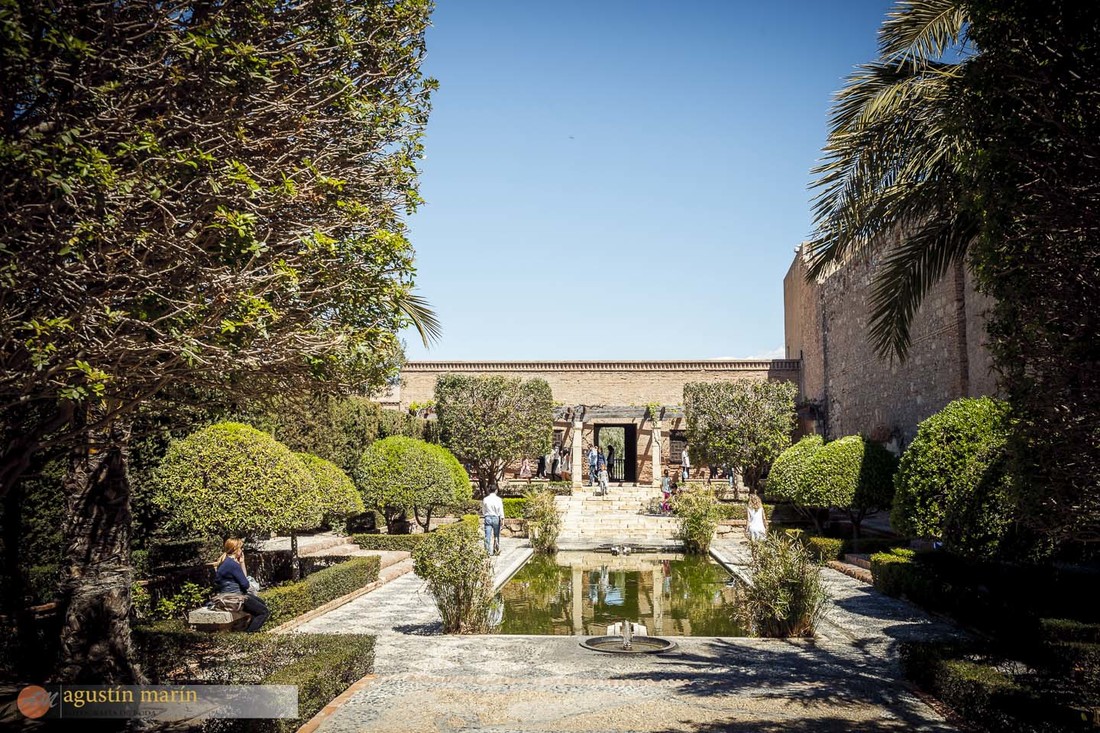 Miguel&Juani+Pre_0460