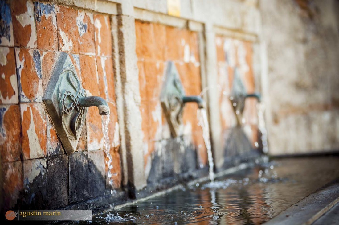 Miguel&Juani+Pre_0478