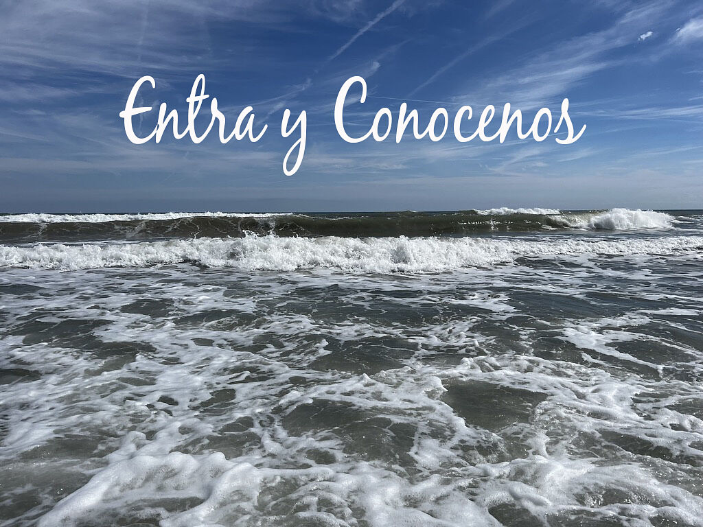 Foto Estudio Guirau S.L. - 5de2bd2a-eb6e-4bca-8b47-06822a542b8c_1_105_c-ts20260227095125267642.jpg