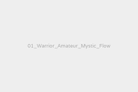 01_Warrior_Amateur_Mystic_Flow