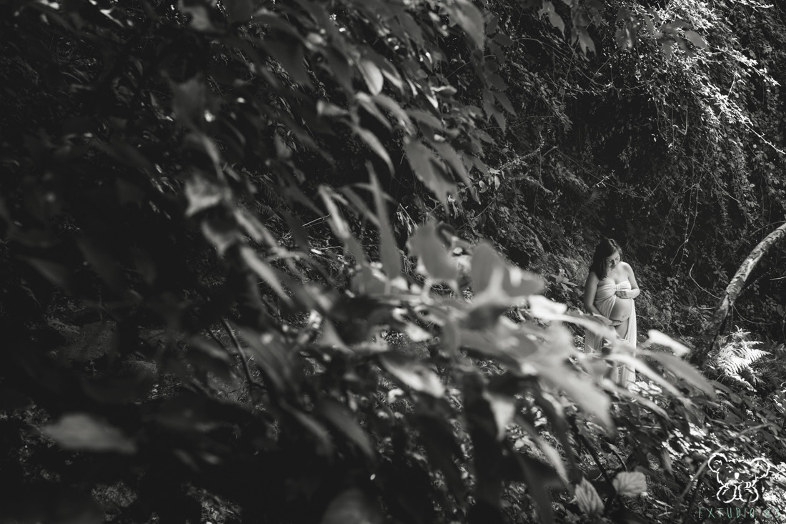 SESI&Oacute;N PREMAM&Aacute; EN EL VALLE DEL JERTE - EXTUDIO 83 007