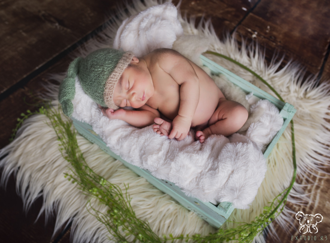 SESIÓN RECIÉN NACIDO EN PLASENCIA - EXTUDIO 83 004