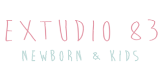 EXTUDIO 83 