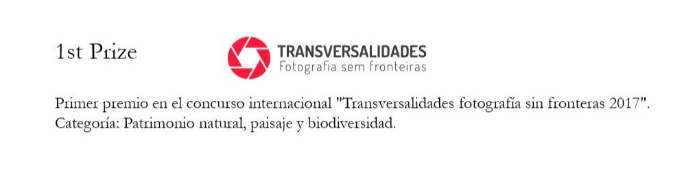 Roberto Conde Photo Art - transversalidades-2017.jpg