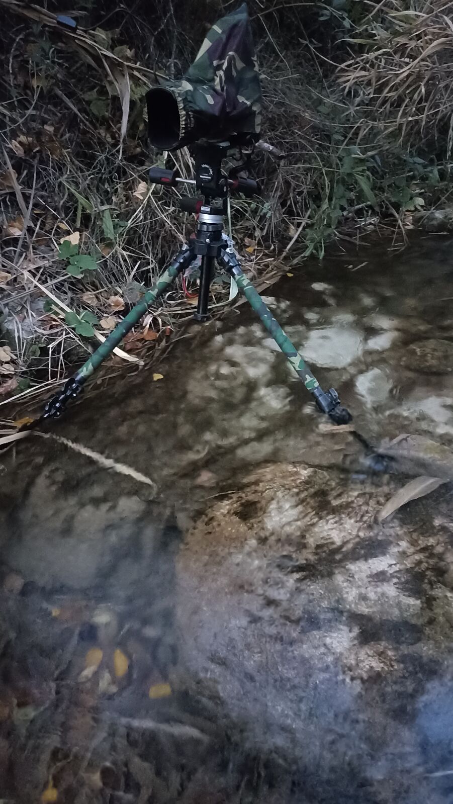 Carlos González - 1764263438313-ts20251127171336600675.jpg