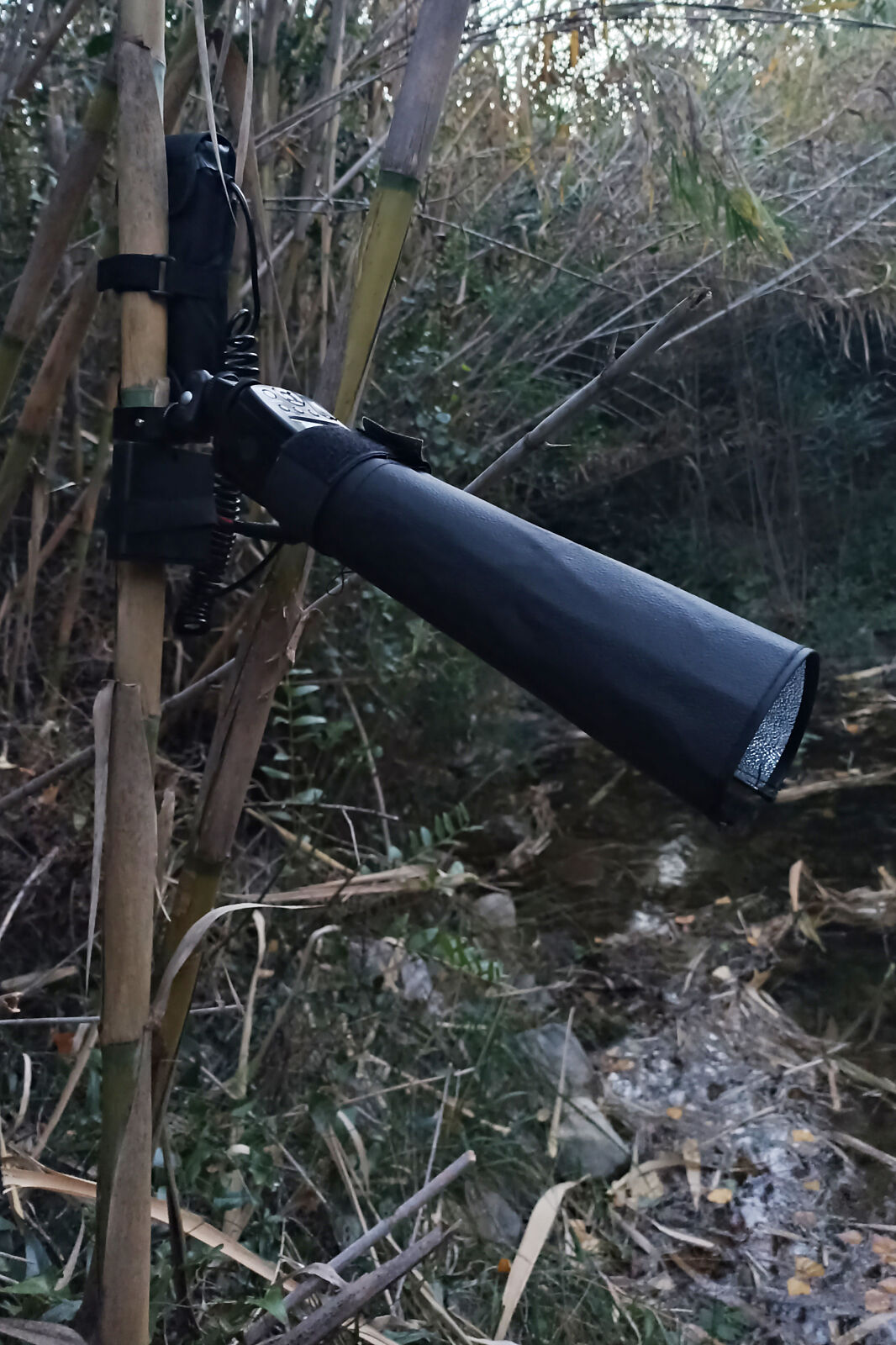 Carlos González - 1764282333608-ts20251127223055767689.jpg