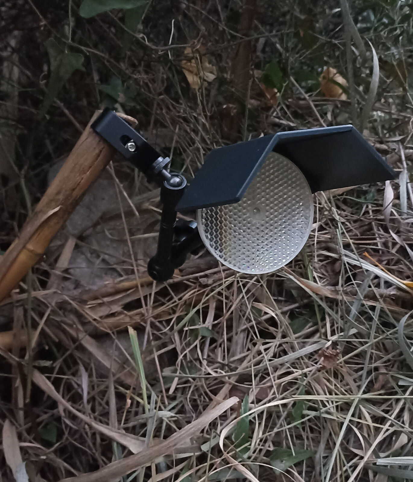 Carlos González - 1764333747780-ts20251128125613348452.jpg