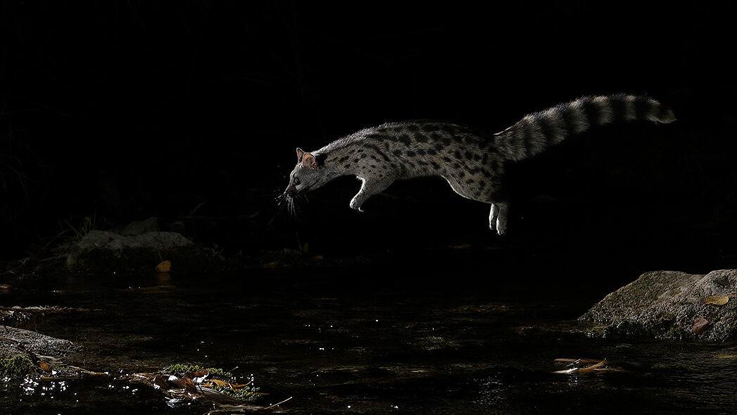 Carlos González - web-1200-ts20251122235207554753.jpg