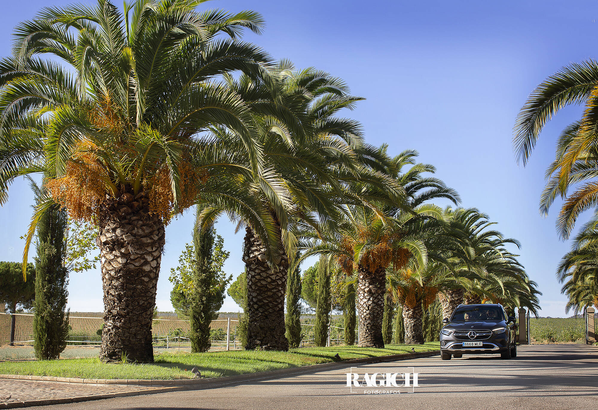 fotografia_boda_caceres_trujillo_habla_bodegas_2025_01_001