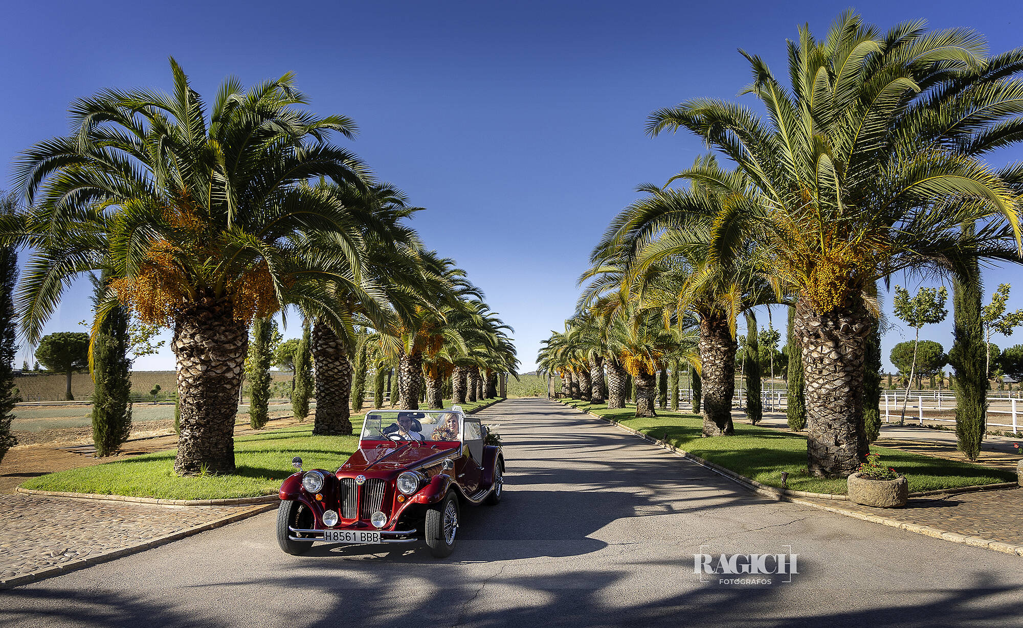 fotografia_boda_caceres_trujillo_habla_bodegas_2025_01_004