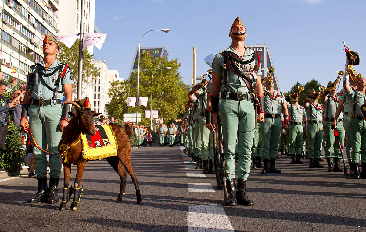 Fotoperiodismo_Desfile-de-las-fuerzas-armadas_La-cabra-de-la-legión-II