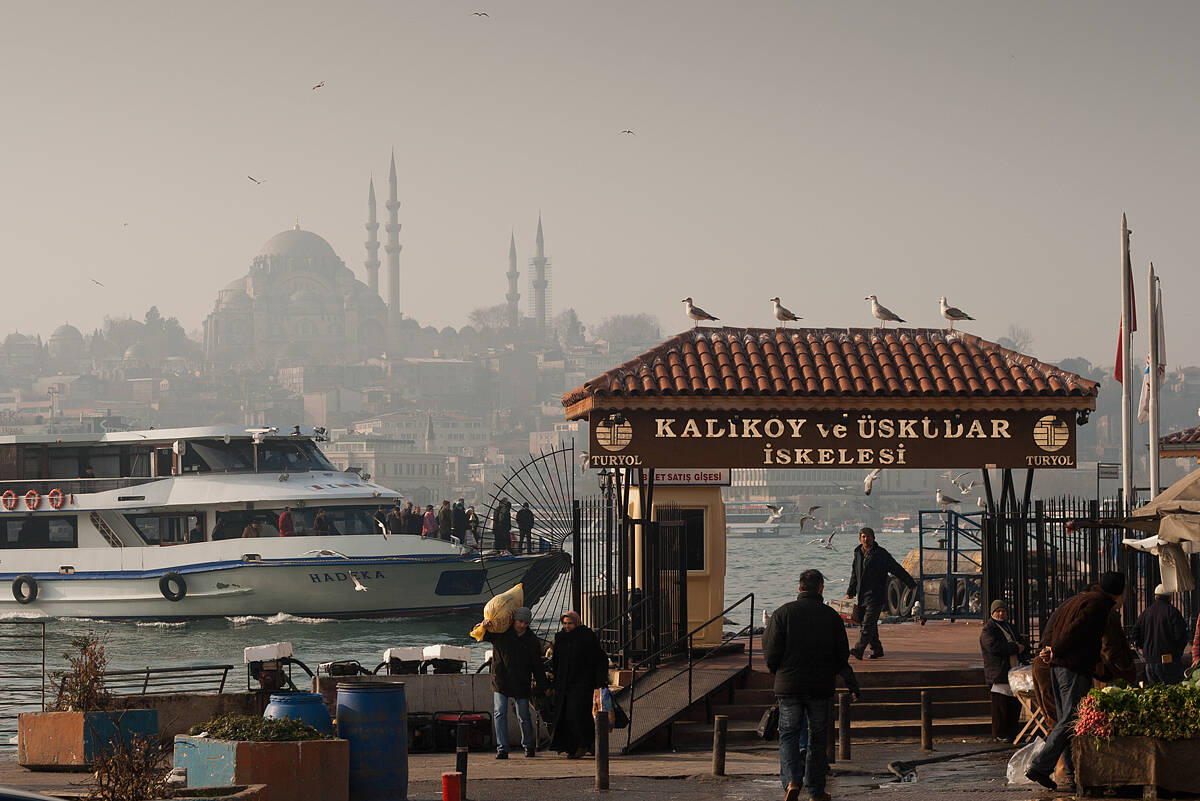 017_Equilibrio-de-gaviotas