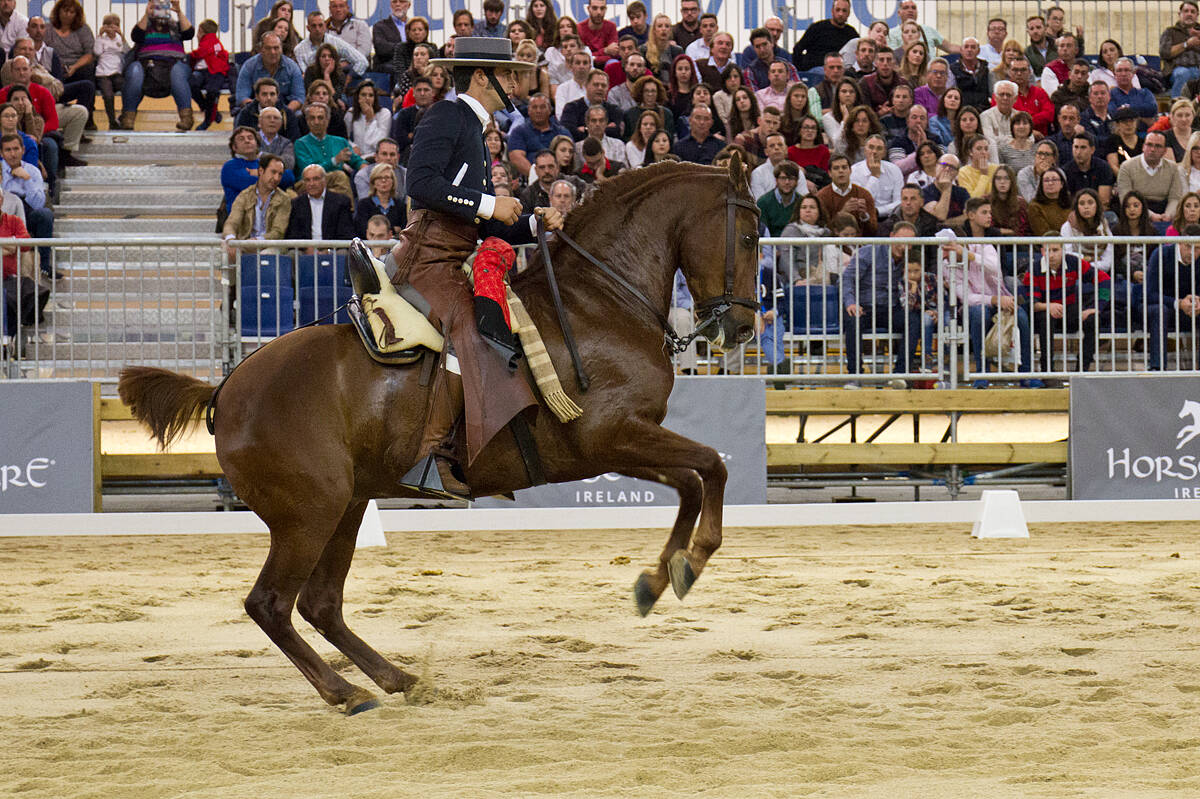 20_Madrid Horse Week_Competicion de doma vaquera_9313