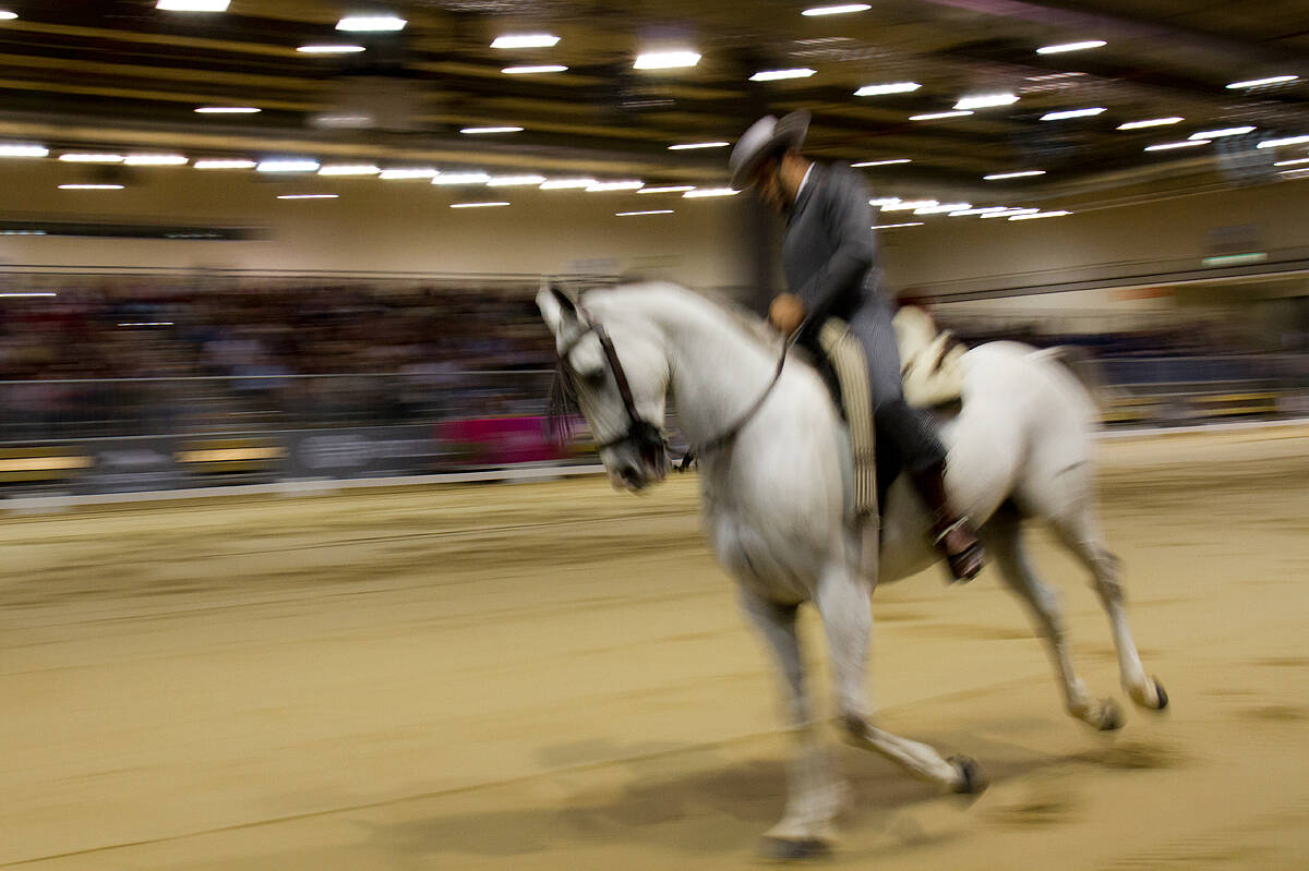 21_Madrid Horse Week_Competicion de doma vaquera