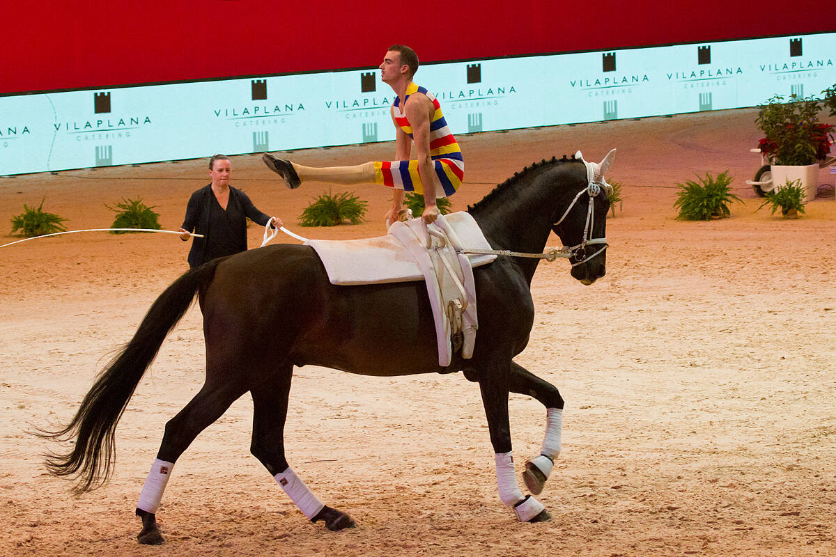 23_Madrid Horse Week_Competicion de volteo