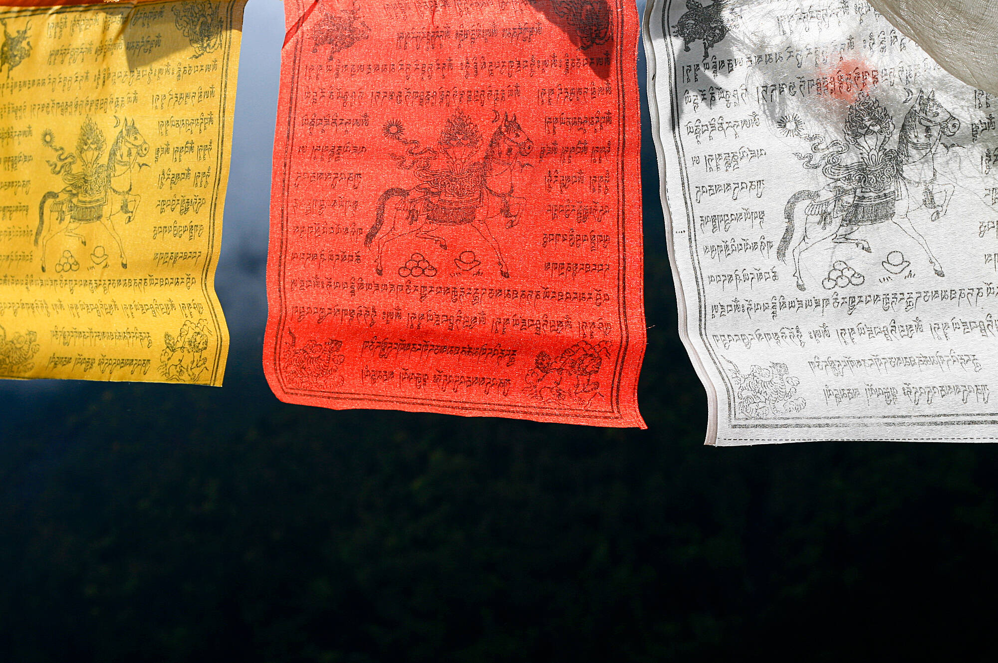 08_Banderas de oraci&oacute;n_IMG_2768