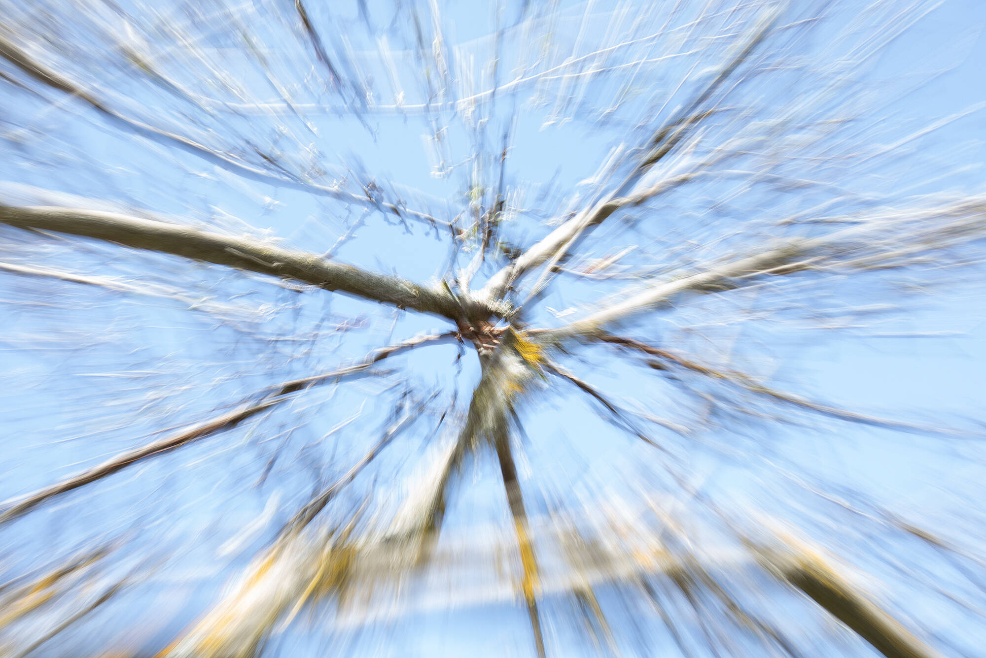 Coronavirus Abstracto