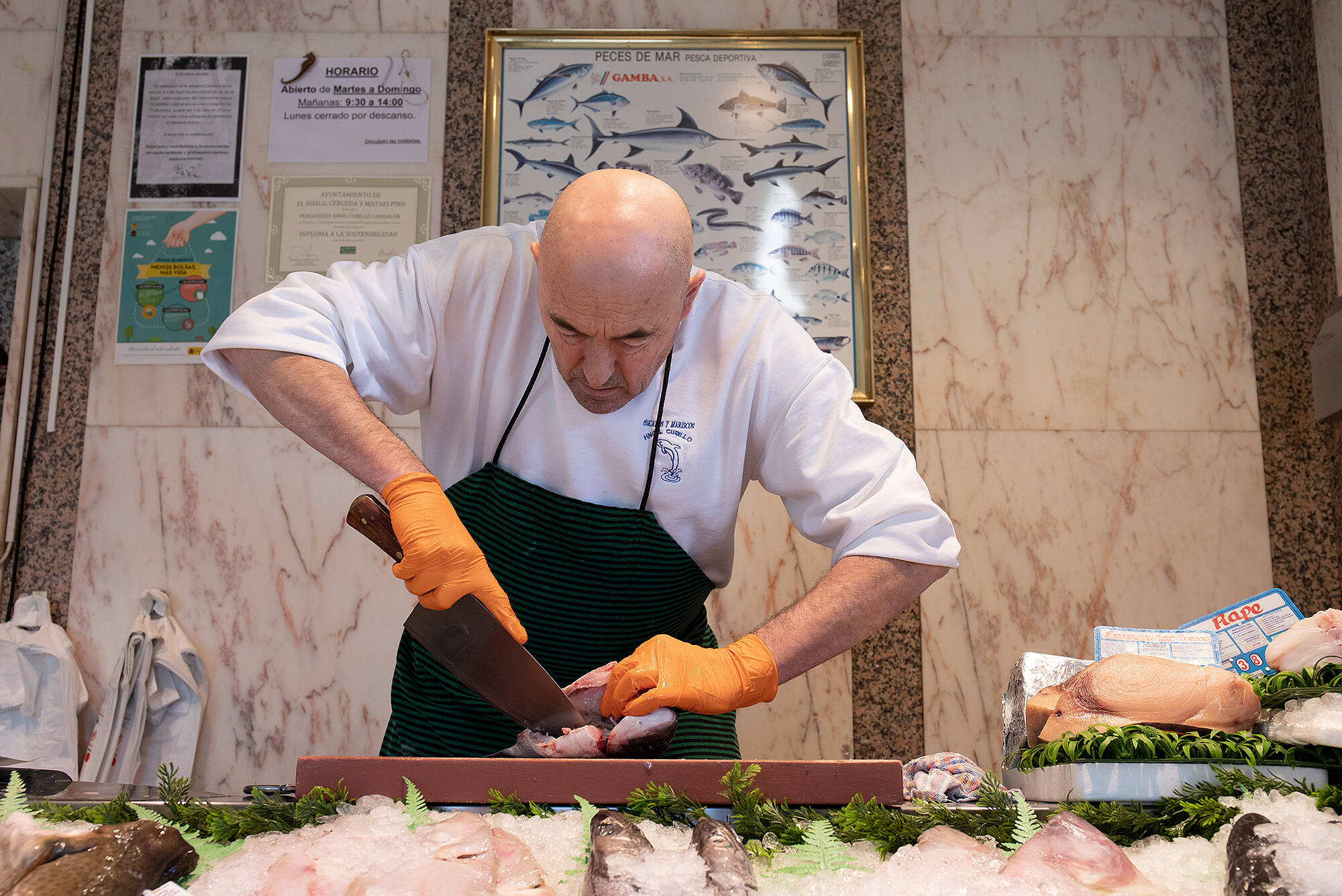 _MG_1421_Juan_Coronavirus