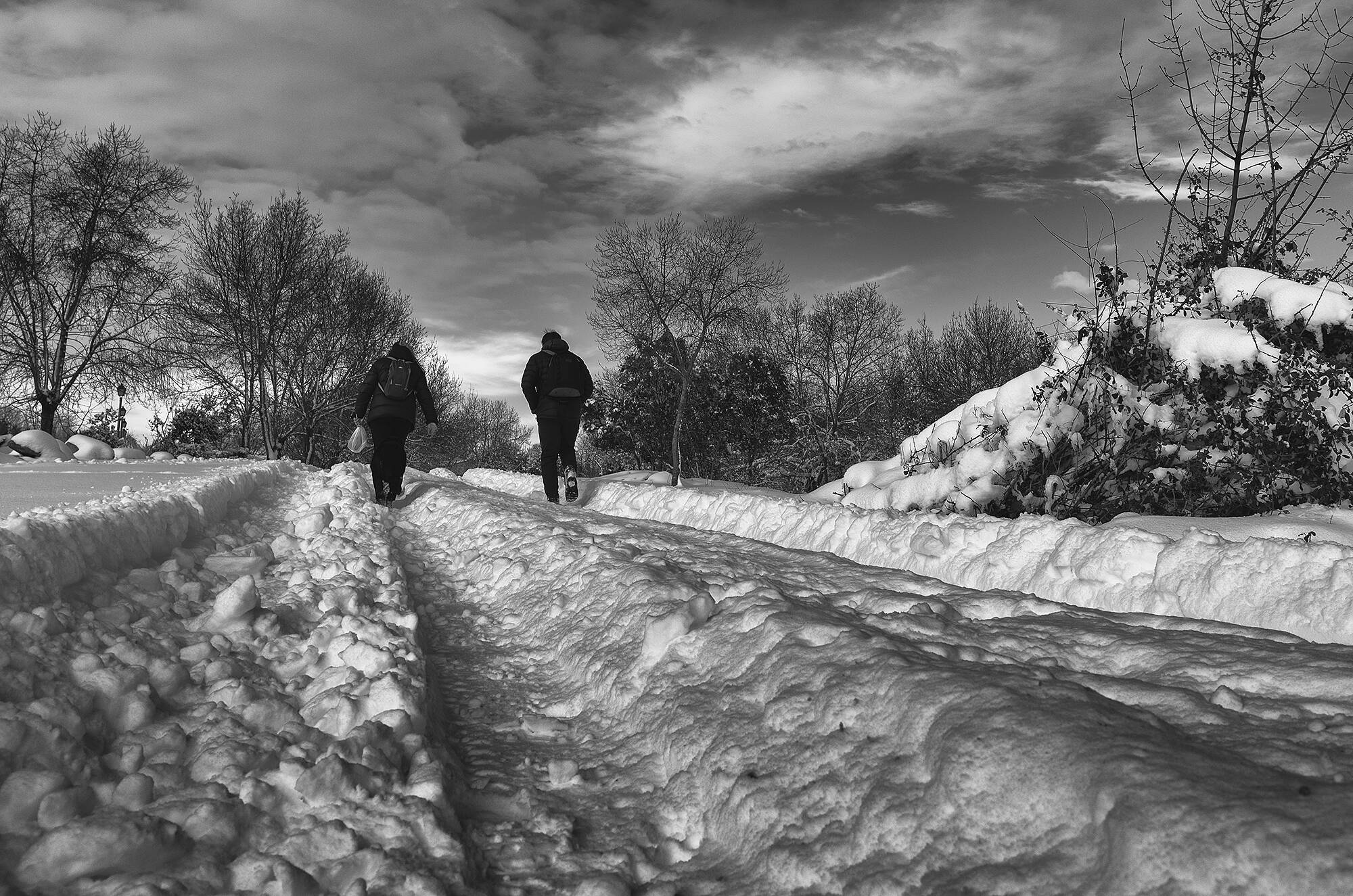 Temporal Filomena_MG_9626