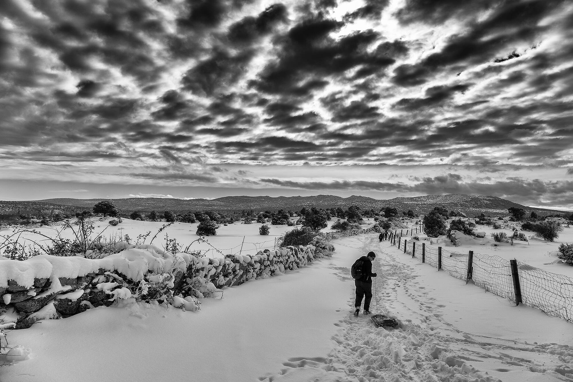 Temporal Filomena_MG_9674_2