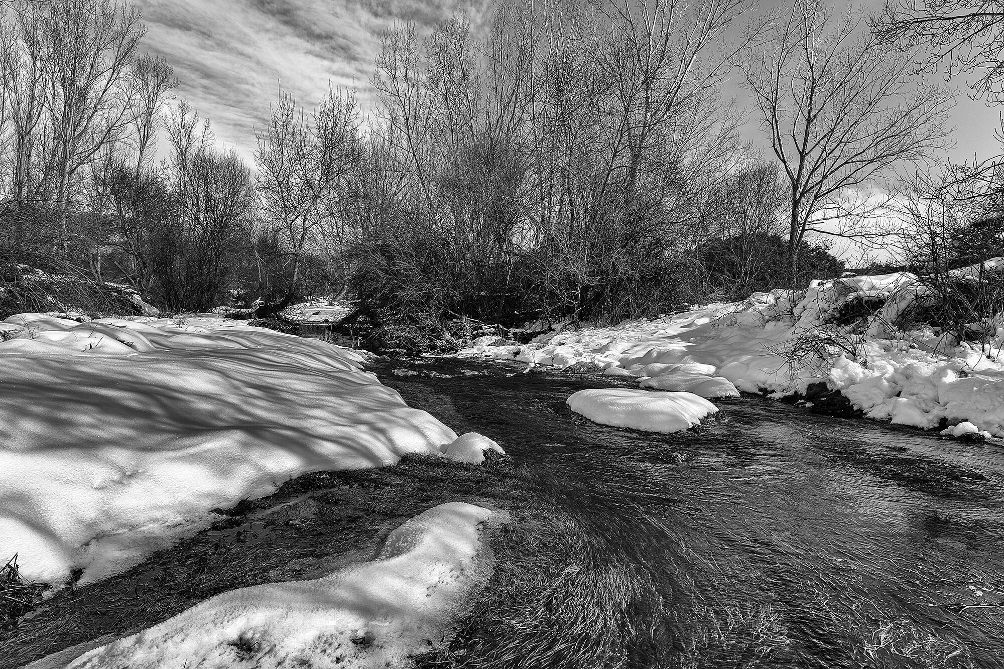 Temporal Filomena_MG_9887