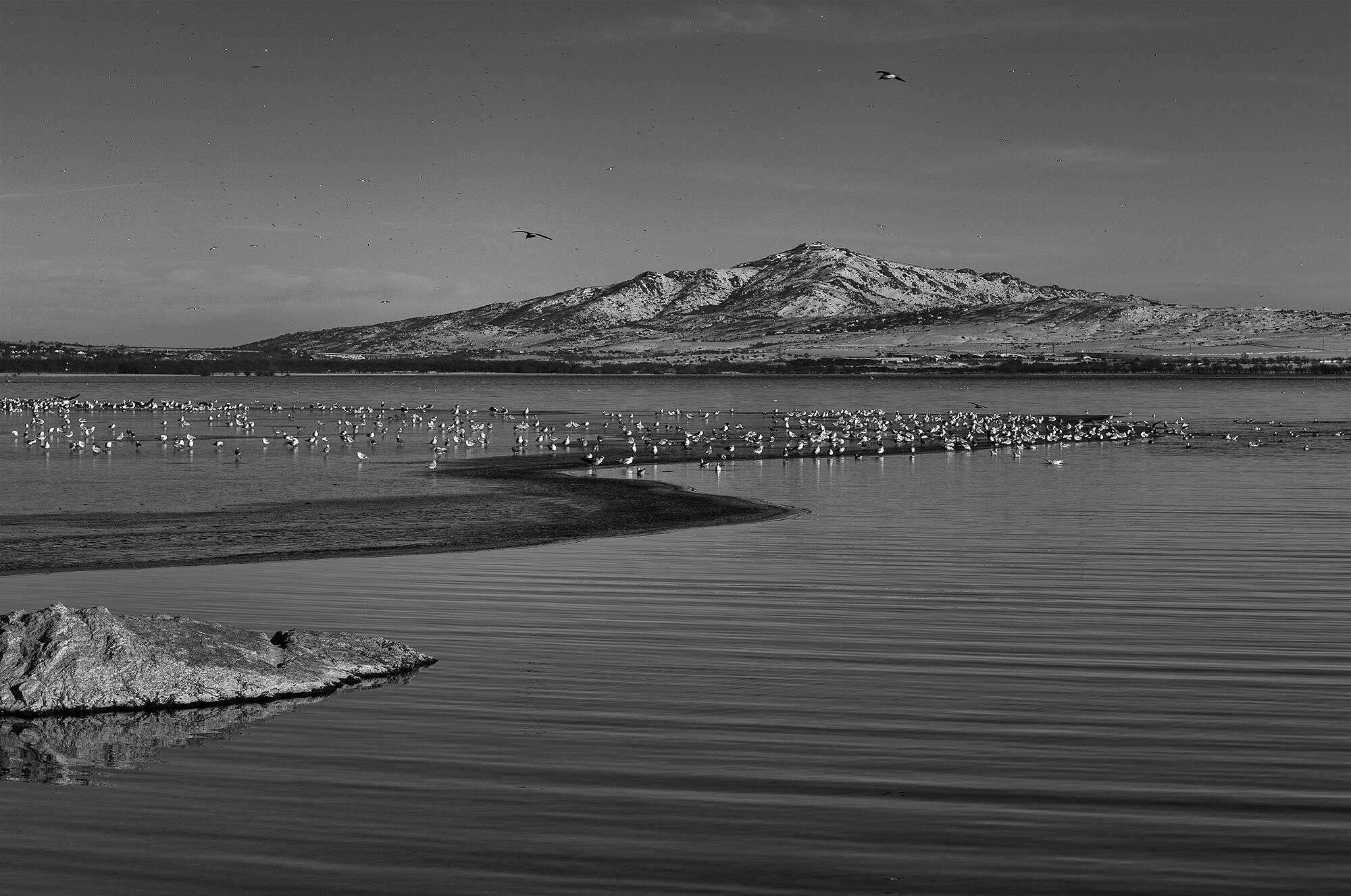 Temporal Filomena_MG_9902