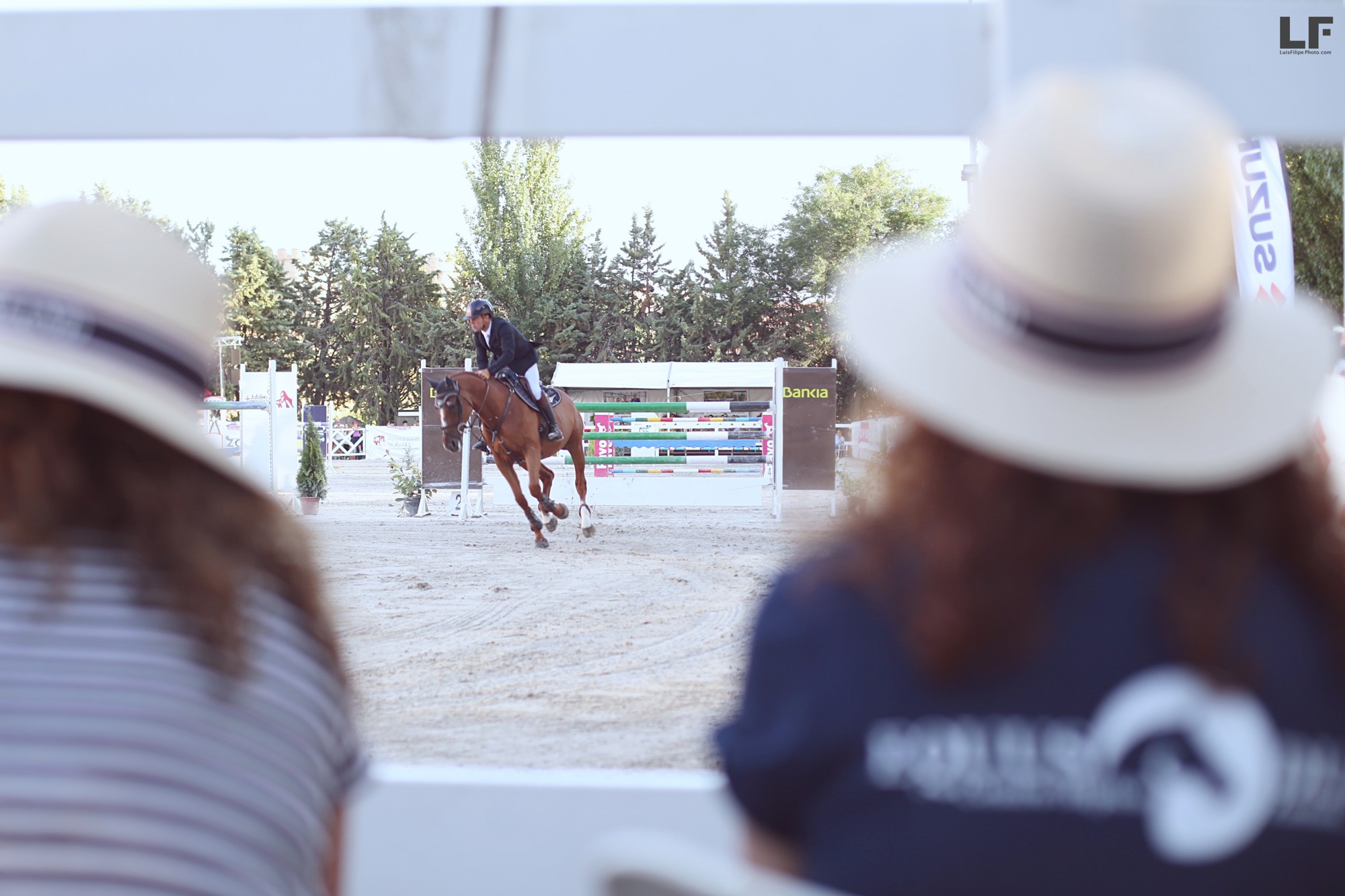 Concurso ecuestre Avila, Polo riendas caballo