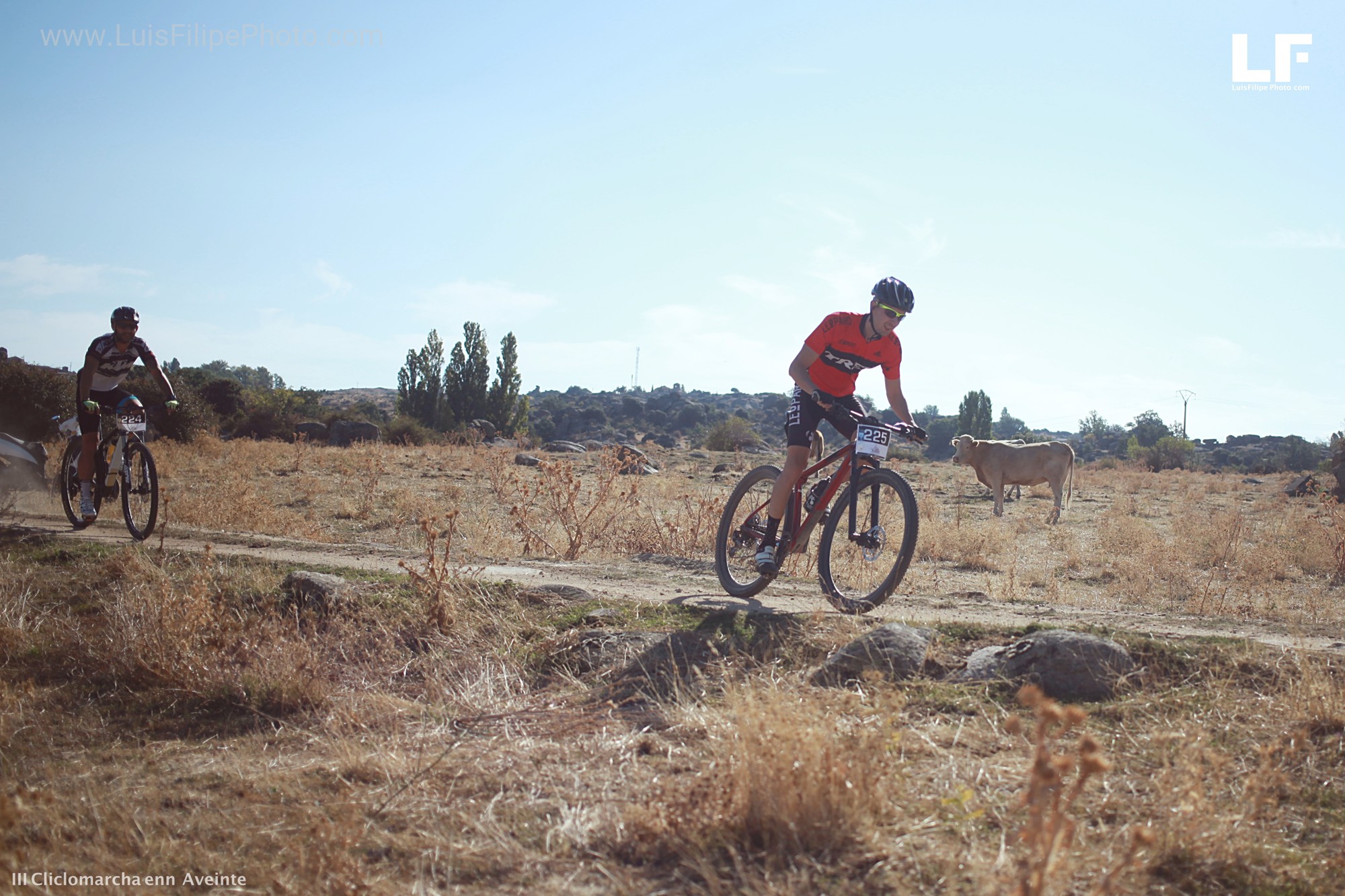  III fotografo Eventos deportivos Luis Filipe Gredos Conciertos