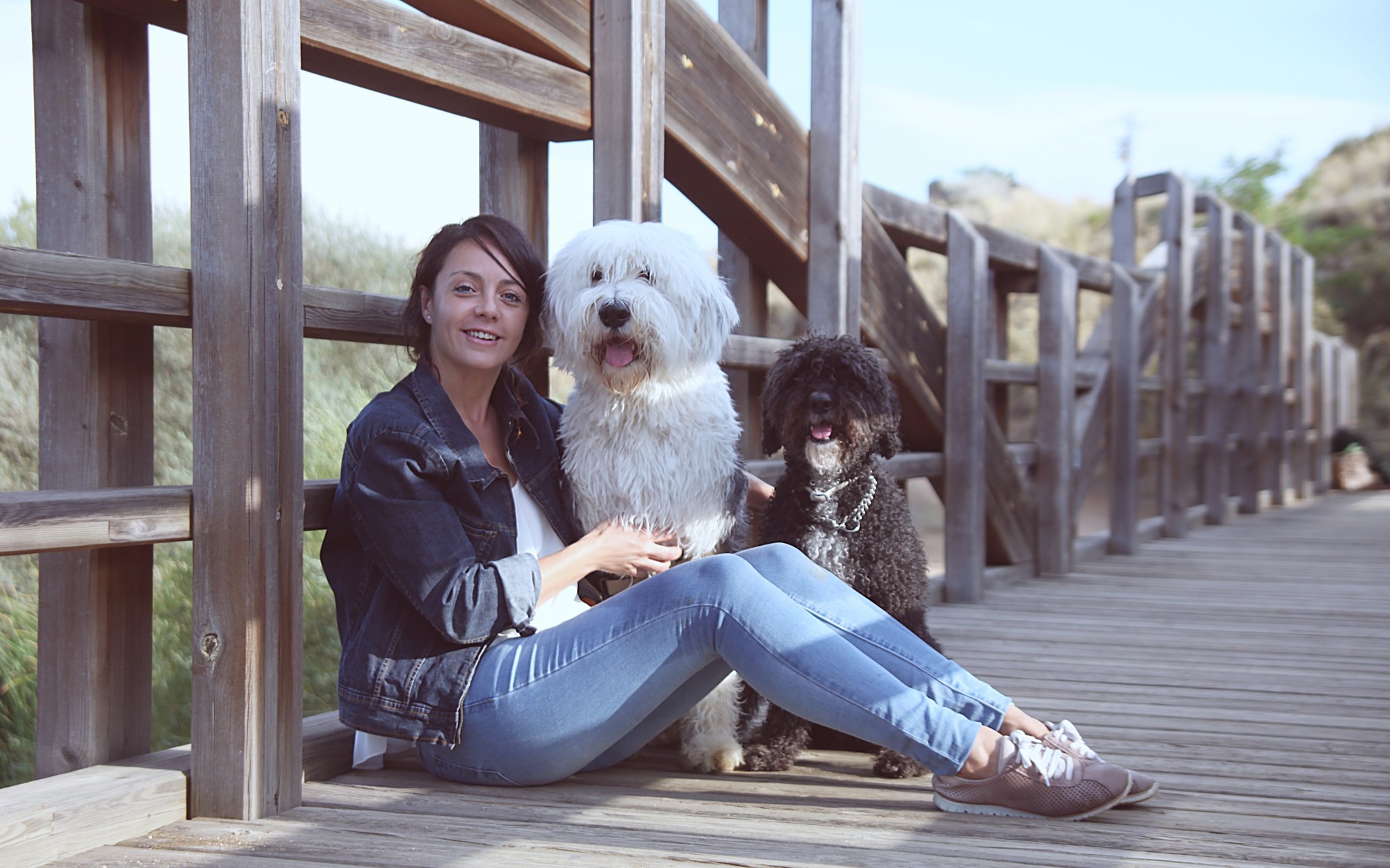 www.LuisFilipePhoto.com book de fotos con perro animales wowtail caniche buldog animales de compania gatos