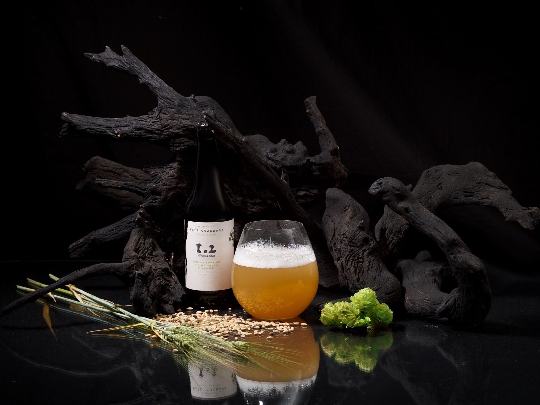 Luis Filipe Photographer - img-00045-cerveza.jpg