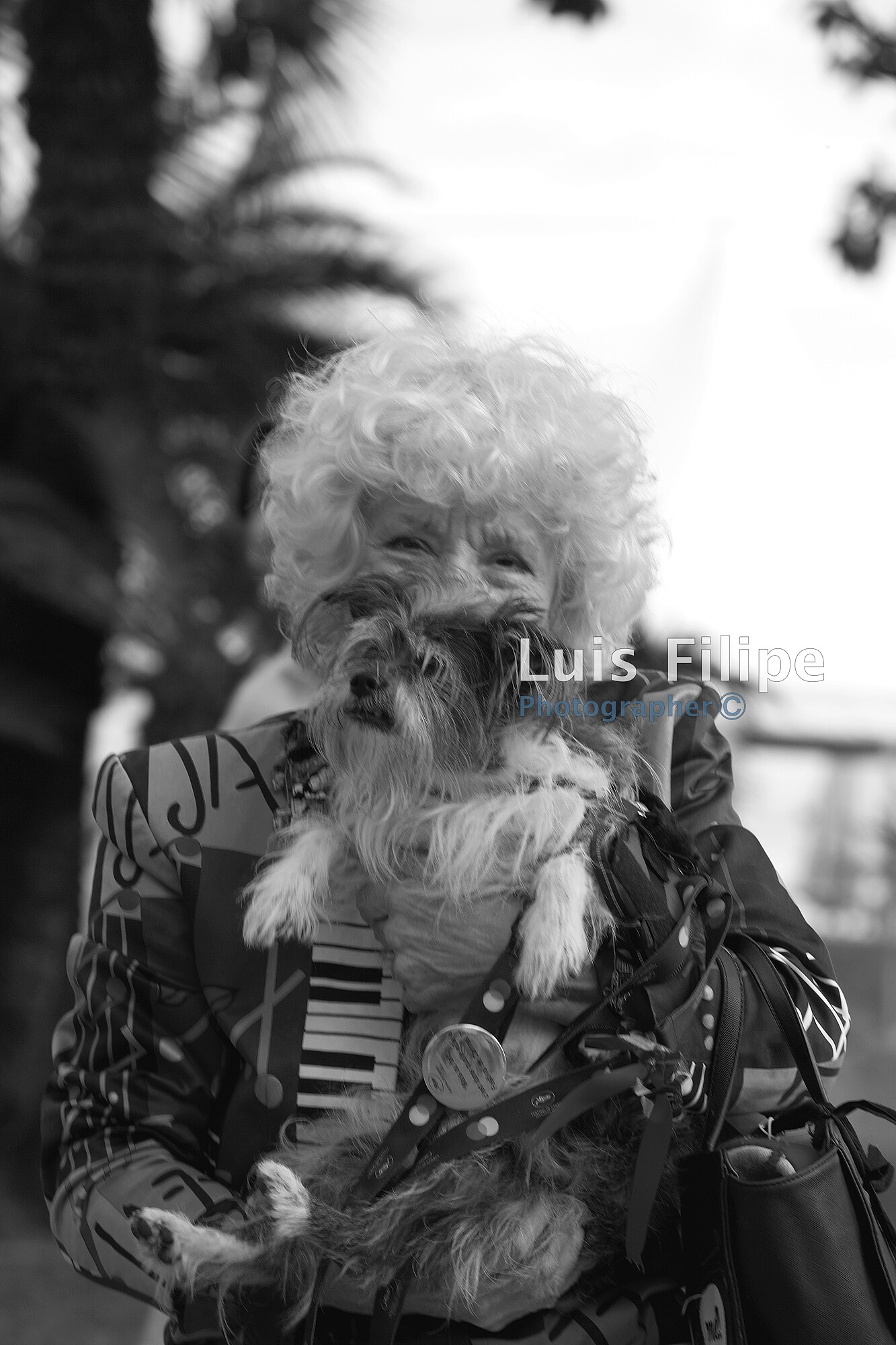photo cannes film festival