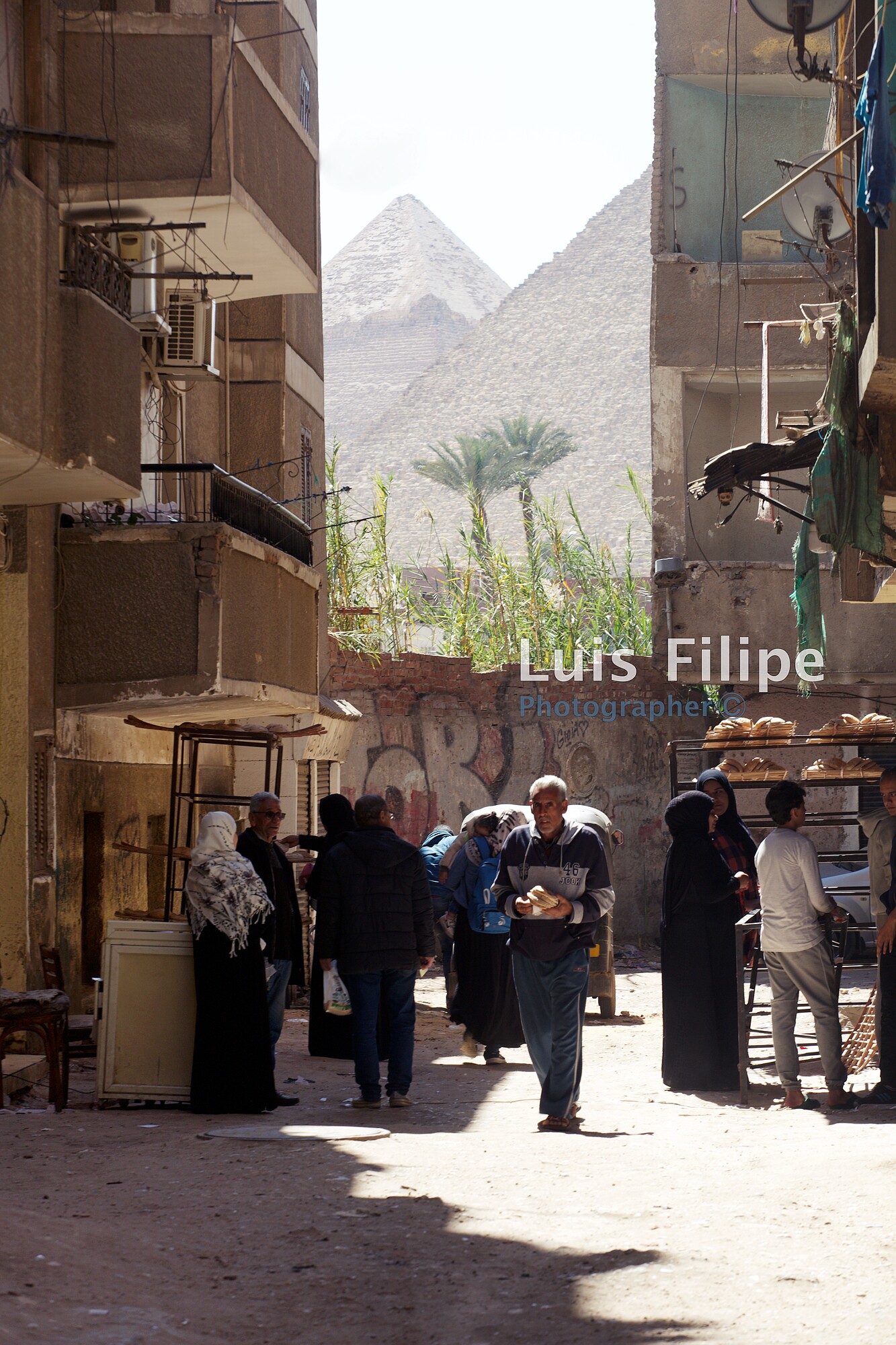 Photos Cairo, Giza Travel National Geographic Luis Filipe