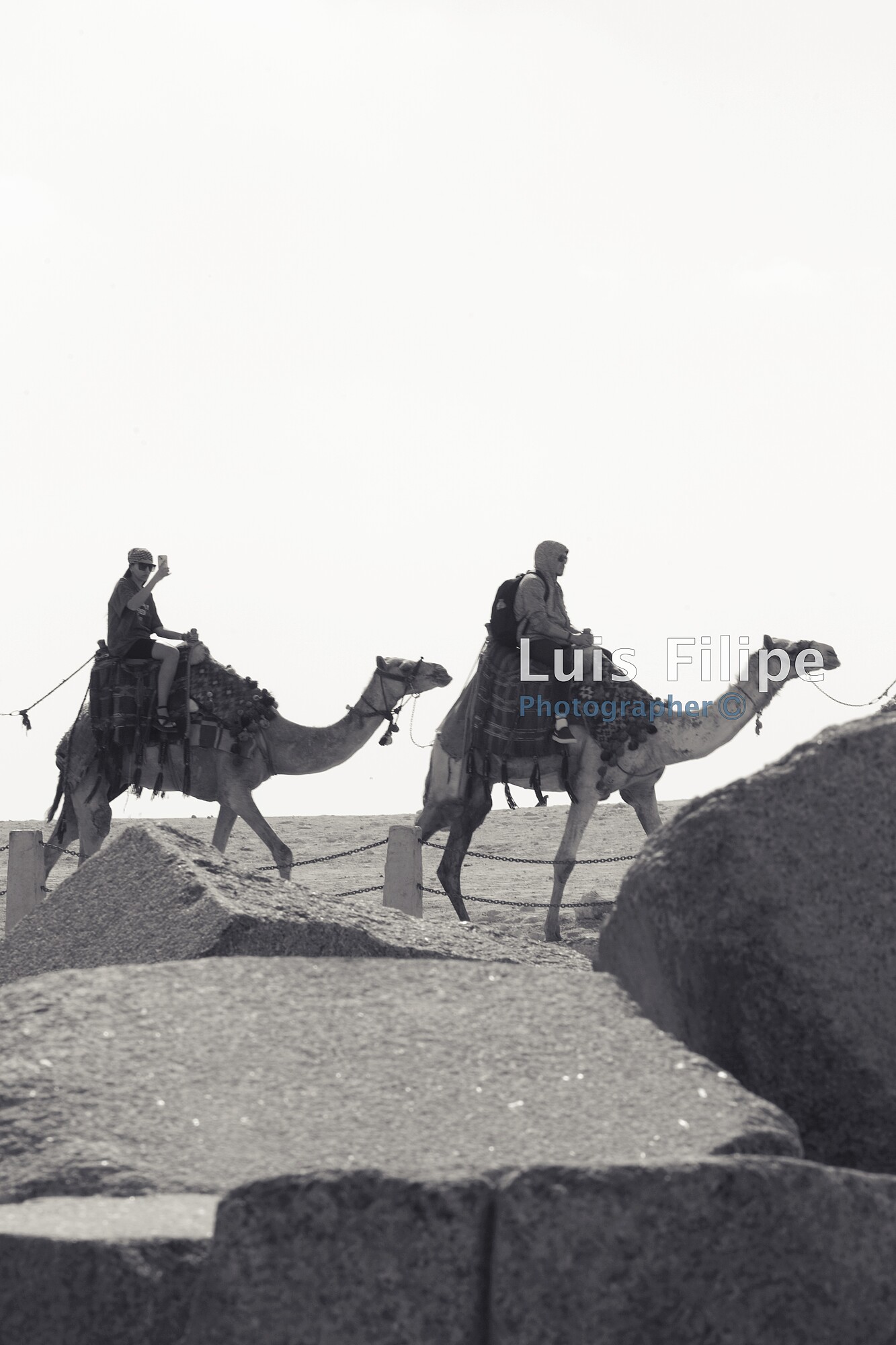 Tour en camello egipto