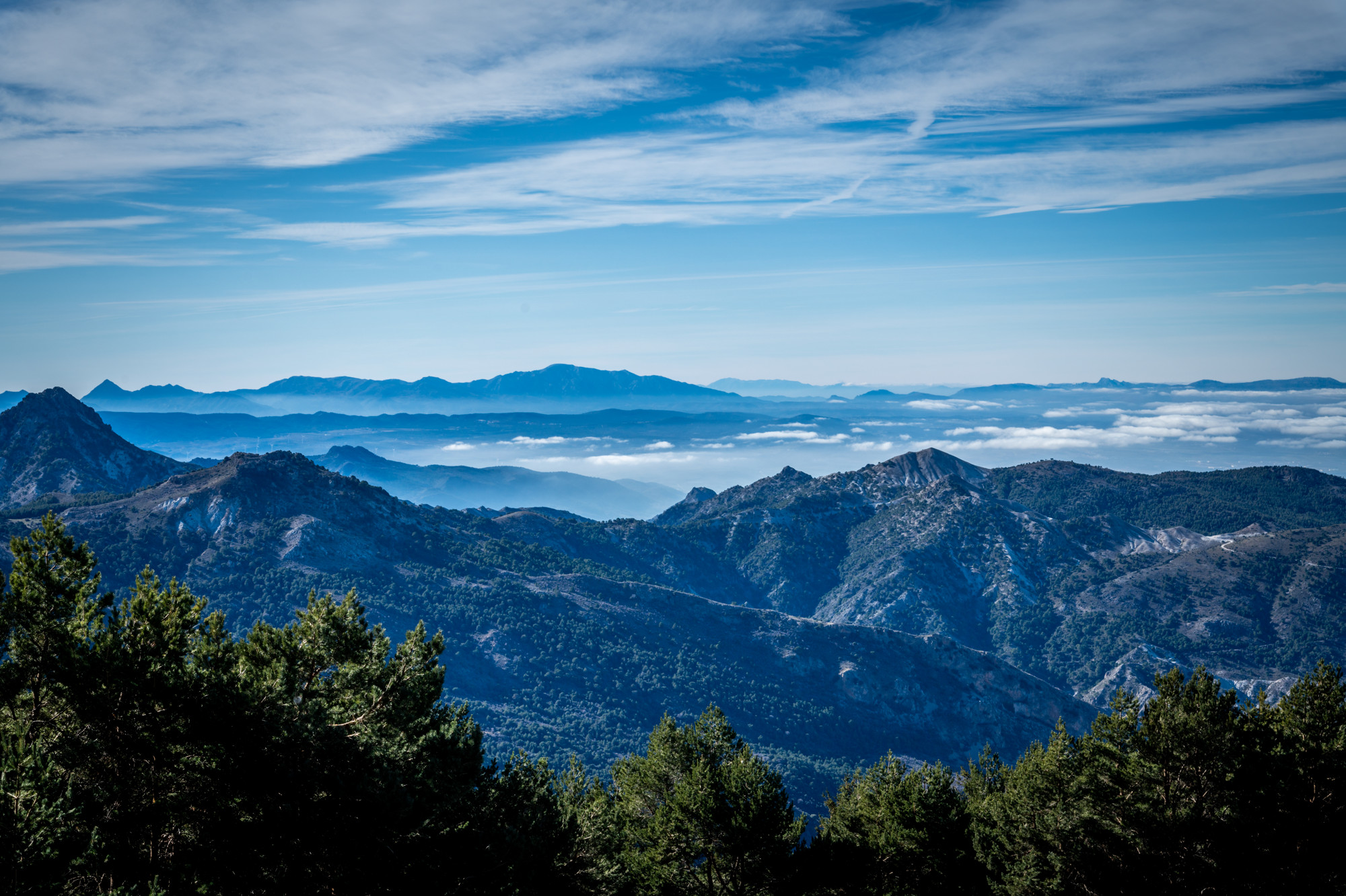 POSTBODA_MPAZ_ALBERTO-140