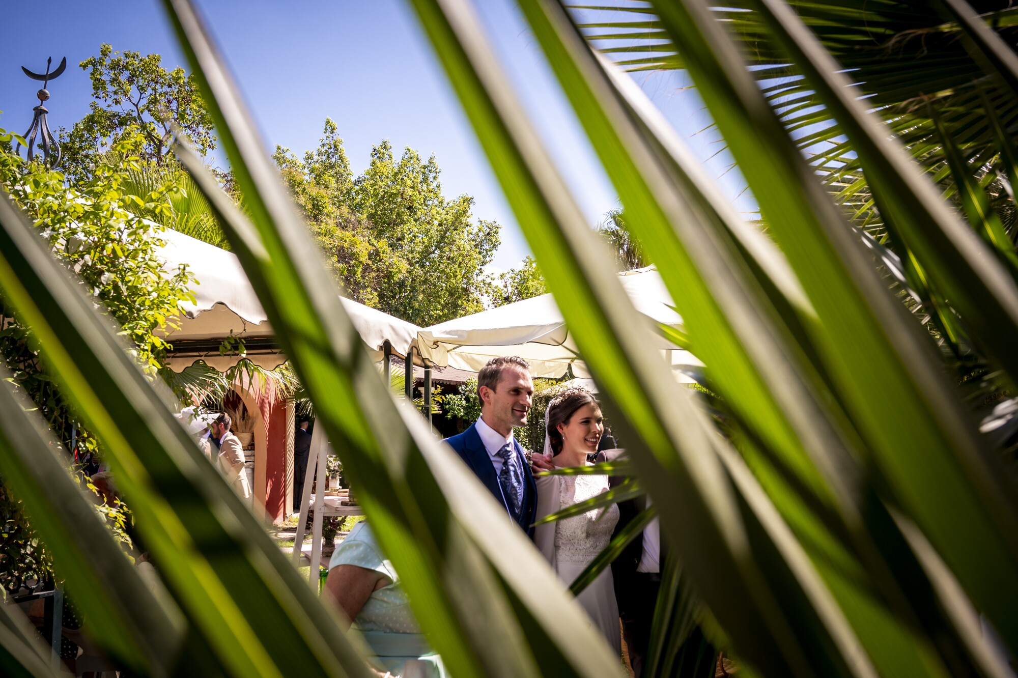 BODA PATRICIA Y PACO-691