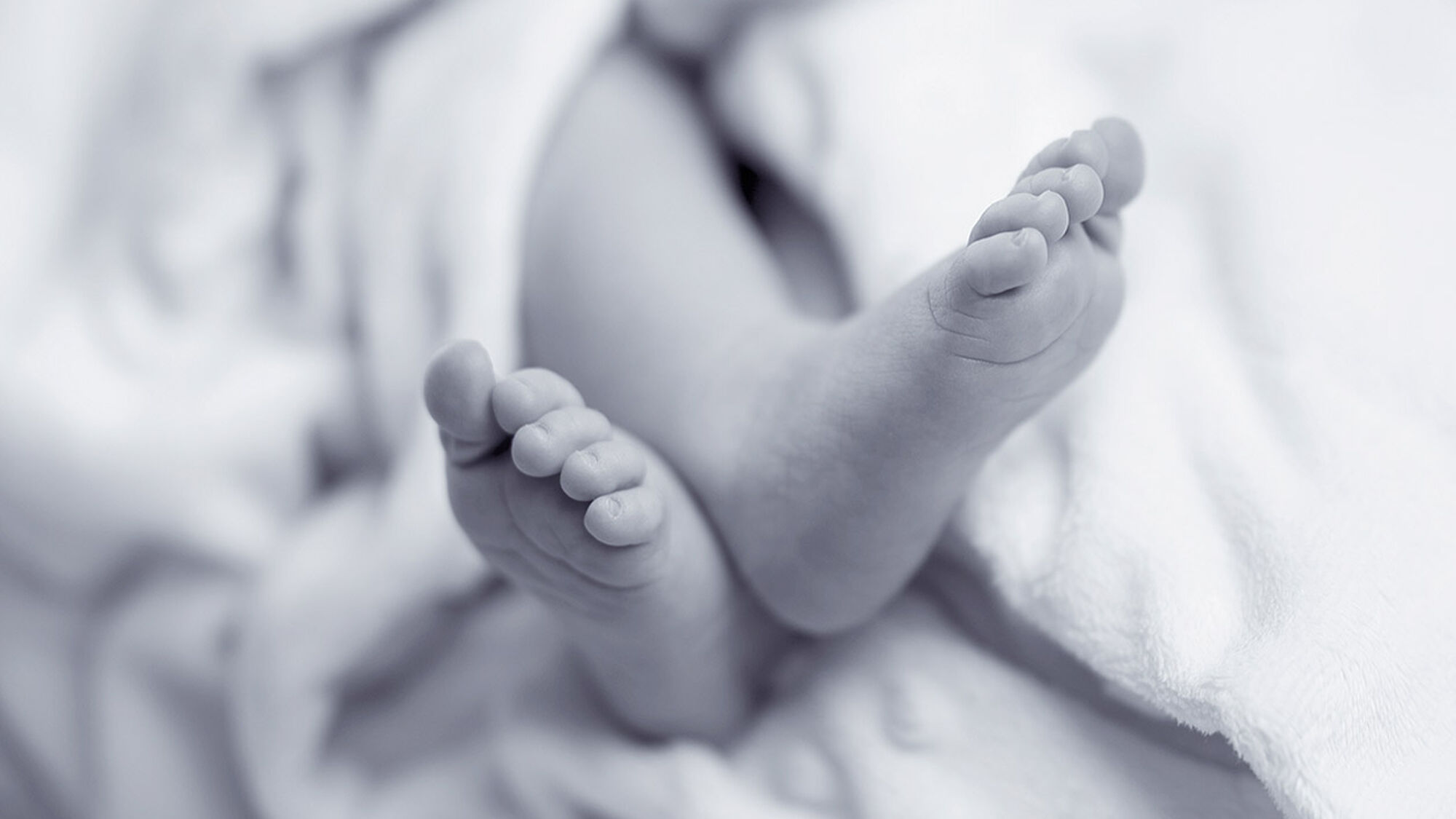 Newborn ( Bebés )