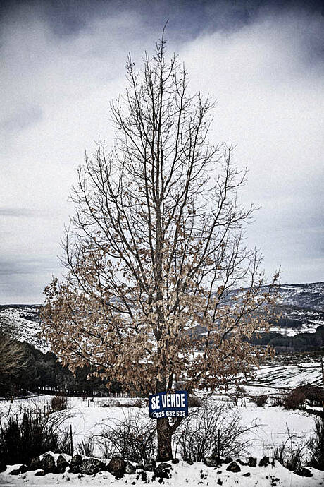 Gredos11_ 163
