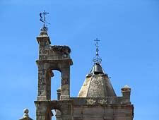 Caceres (5)