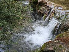 IMG_1451