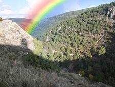 IMG_1592_01