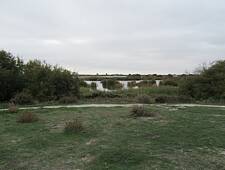 Las Tablas de Daimiel (1)