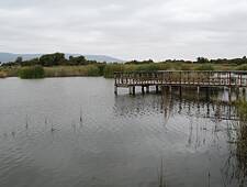 Las Tablas de Daimiel (3)