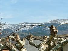 Viria (6)