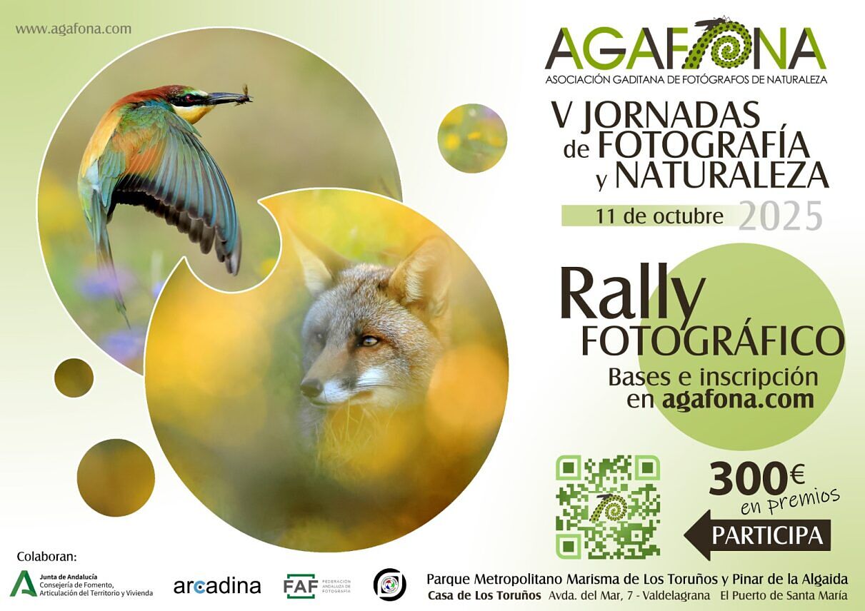 AGAFONA - rally-ts20250809191936301190.jpeg