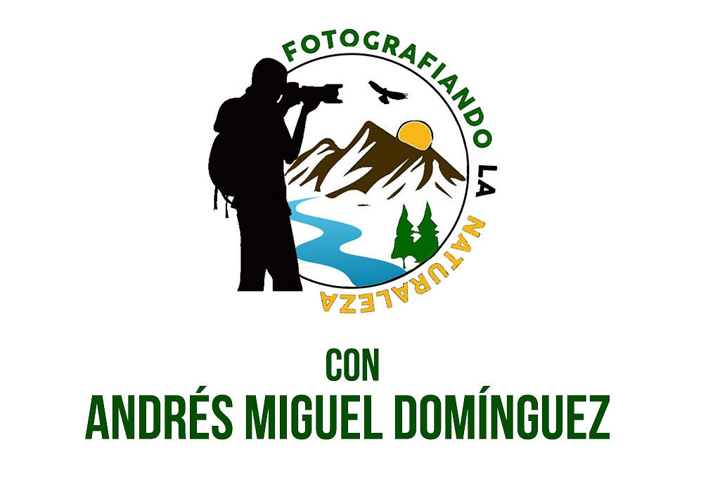 AGAFONA - andres-ts20250929112723176211.jpg