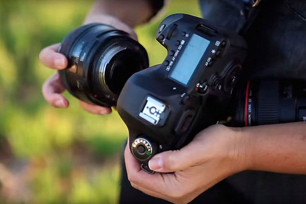 AGAFONA - camara-ts20251110064757706073.jpg