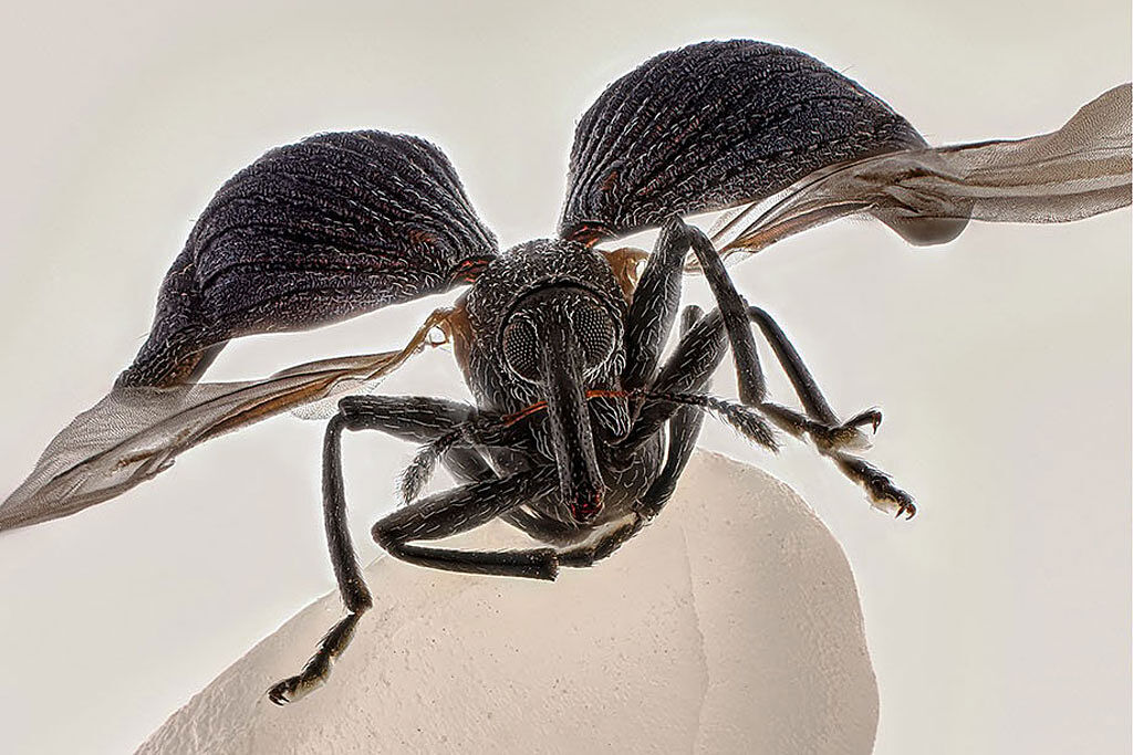 AGAFONA - nikonsmall-ts20251110071258923394.jpg