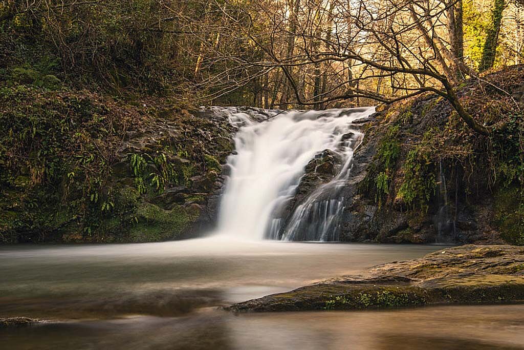 AGAFONA - nd-ts20251124082208663644.jpg