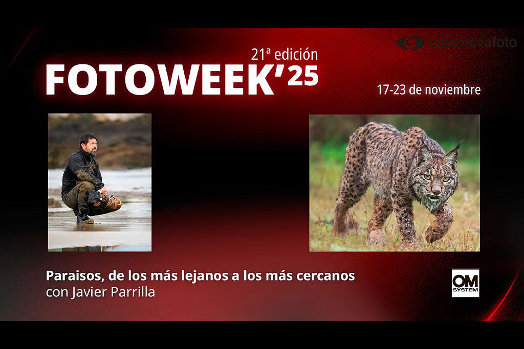 AGAFONA - parrilla-ts20251202100148487771.jpg