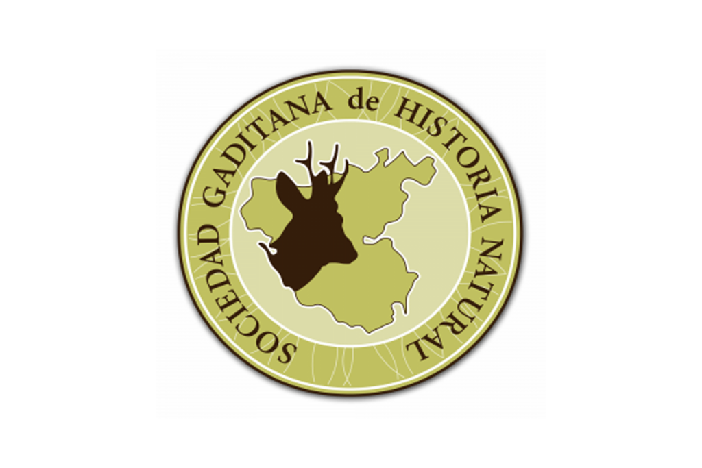 AGAFONA - logosghn-ts20260427074242420284.png